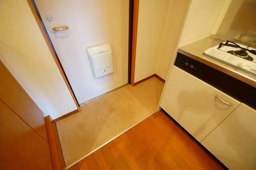 グリーンハイツ豊川Ⅱ107の玄関