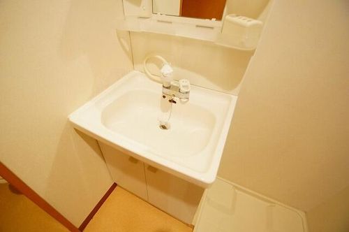 グリーンハイツ豊川Ⅱ107の内装