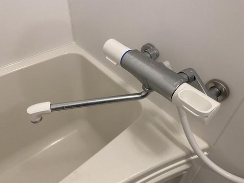 ドリーム三条206の風呂