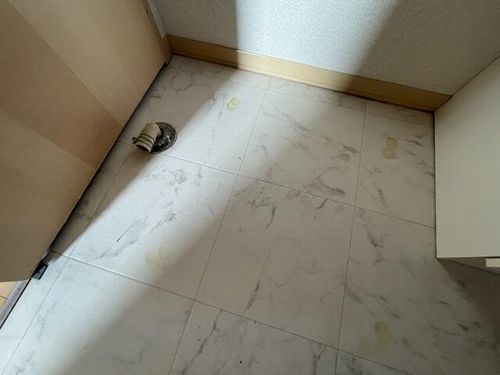 シャーメゾン玉手の内装
