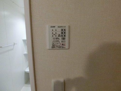 大山蓮華のその他画像