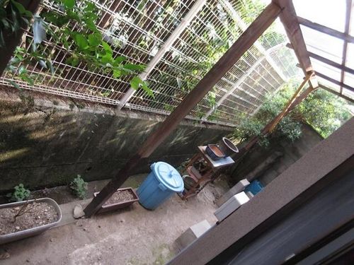 ライフハウス鳥居川の内装