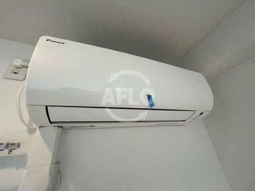 シャンテミキのその他画像