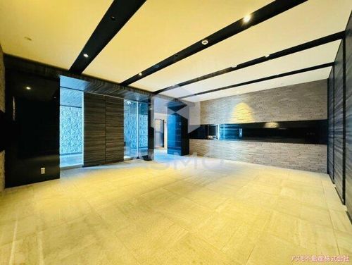 大阪府大阪市浪速区桜川4丁目(マンション)の賃貸物件303の玄関