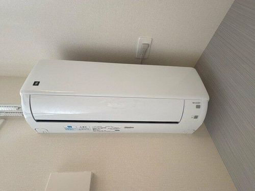 フロリバンダ203のその他画像