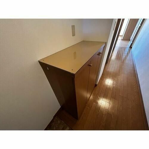 サンデンハイツ若葉通の玄関