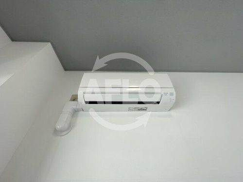 グラスホッパーのその他画像