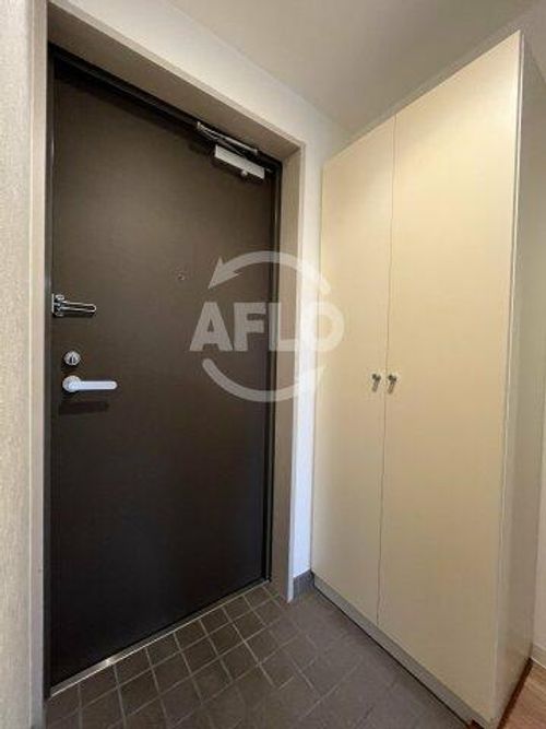 パセオ十三東の玄関