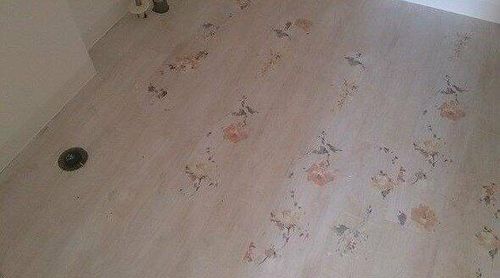 アネックスカミサワAのその他画像