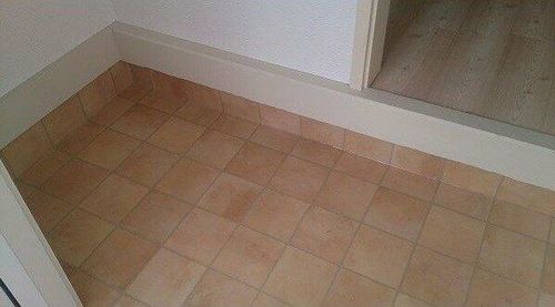 アネックスカミサワAの玄関