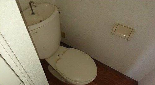 アネックスカミサワAの内装