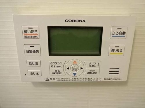 ローエングラム大日のその他画像