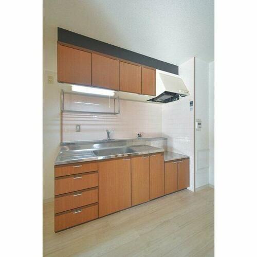 アネスティ千里丘1号館0202のキッチン