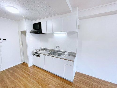 愛知県名古屋市南区明治1丁目(マンション)の賃貸物件のキッチン