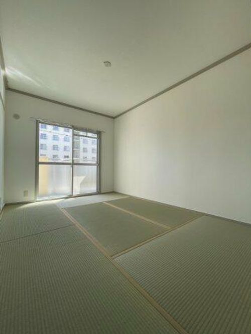 公社賃貸SMALIO 熊取B6-204の内装