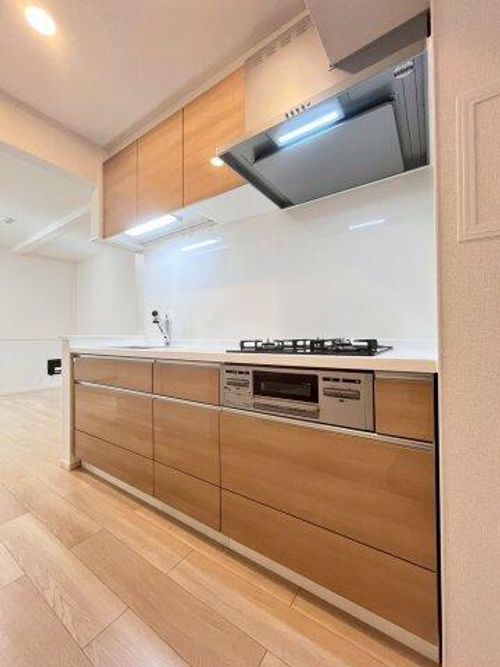 大阪府藤井寺市御舟町(アパート)の賃貸物件のキッチン