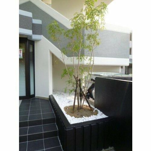 福岡県福岡市東区香椎駅東4丁目(マンション)の賃貸物件のその他画像