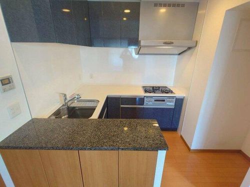 リーガル北堀江1303のキッチン