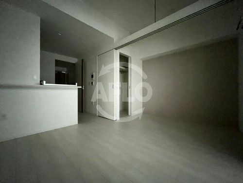 セレニテ難波ミラク弐番館の居間