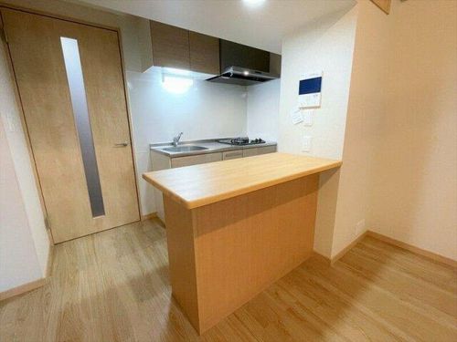 福岡県福岡市中央区那の川2丁目(マンション)の賃貸物件のキッチン