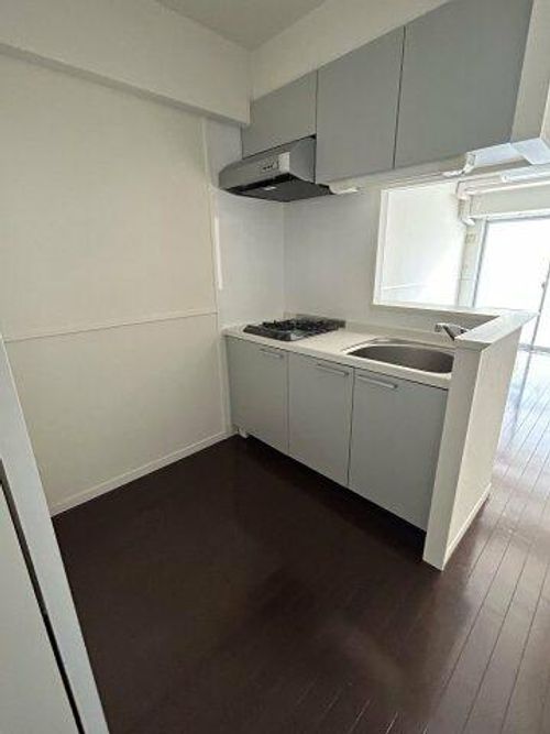 福岡県福岡市南区野間1丁目(マンション)の賃貸物件のキッチン