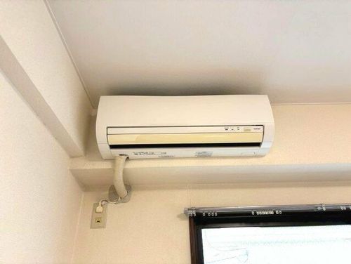 ボヌールのその他画像