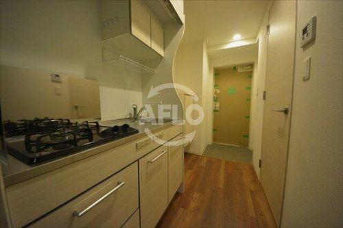 レジュールアッシュ難波MINAMIの玄関