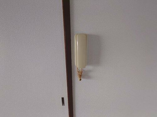 稲本マンション202のその他画像