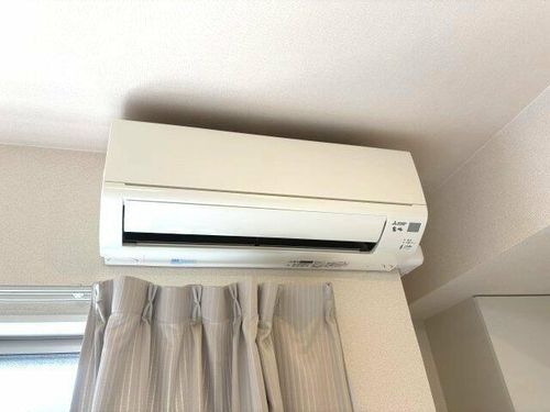 ミランダクオーレのその他画像