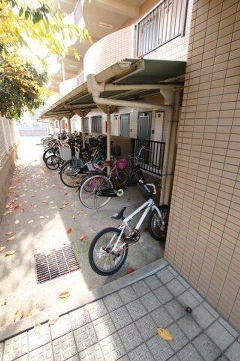 ピソ・キタノのその他画像