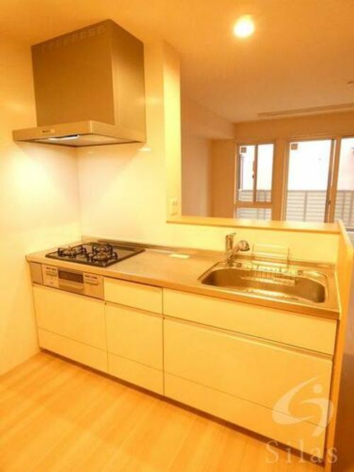 大阪府堺市北区百舌鳥赤畑町2丁(テラスハウス)の賃貸物件のキッチン