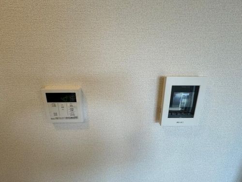 ストレイト葛葉のその他画像