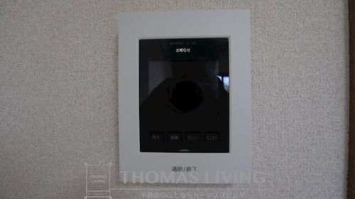 リオンドールヤナギのその他画像