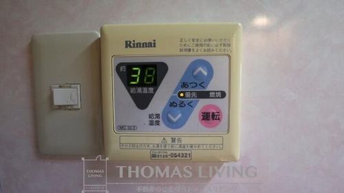 リオンドールヤナギのその他画像