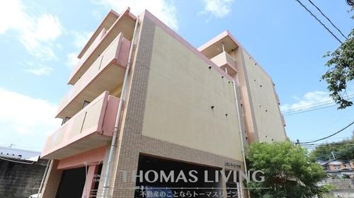 リオンドールヤナギのその他画像