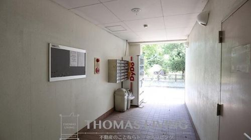 リオンドールヤナギのその他画像