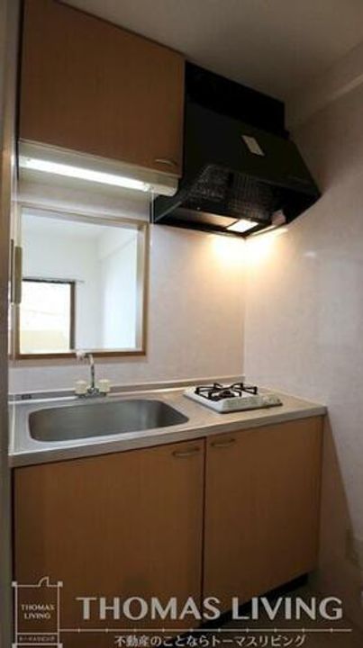 リオンドールヤナギのキッチン