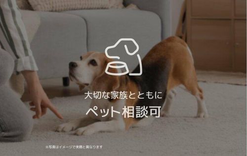 シャーメゾンシエロの内装