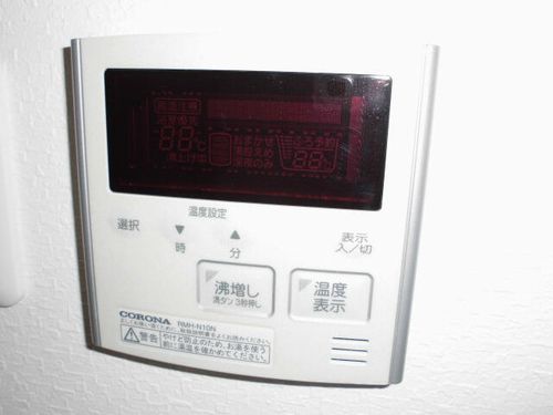 エヌエムトラントシスのその他画像