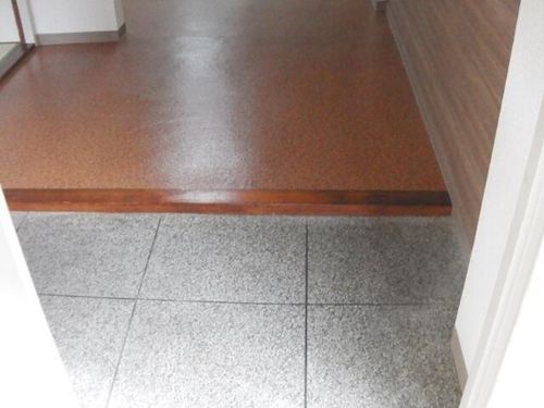 兵庫県尼崎市南塚口町8丁目(マンション)の賃貸物件の玄関