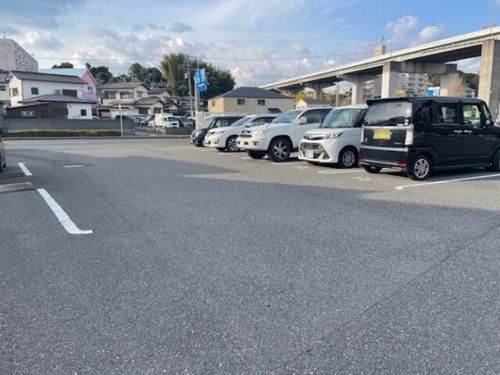 コンフォールパピヨンのその他画像