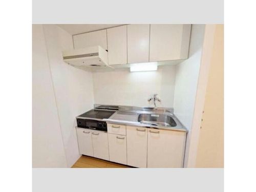 北海道札幌市中央区南十四条西7丁目(マンション)の賃貸物件201のキッチン