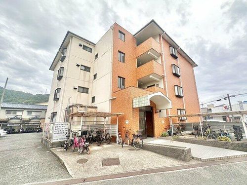 エコーハイツⅡ203の外観