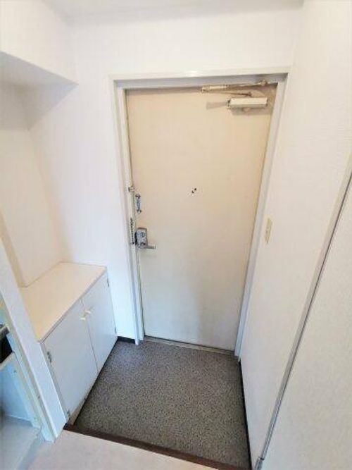 大阪府羽曳野市野々上4丁目(マンション)の賃貸物件の玄関