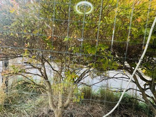 クレステージ宮前のその他画像