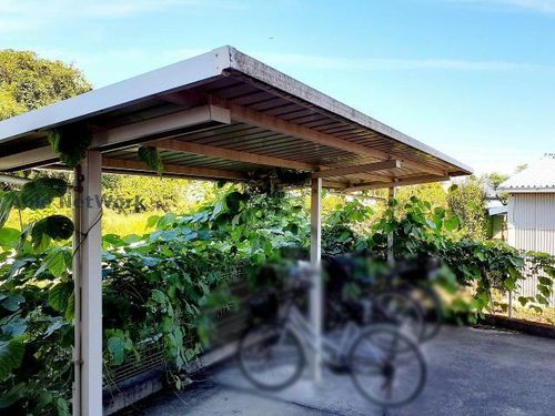 ロワールⅡのその他画像