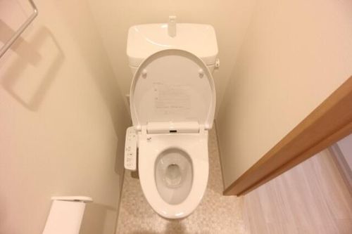 Lapisの内装