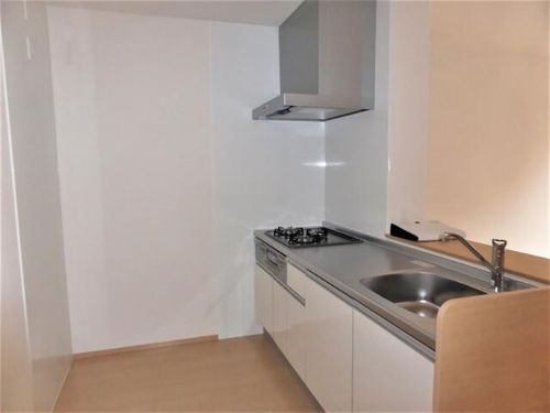 ラフィネ横山 A・B棟A202のキッチン