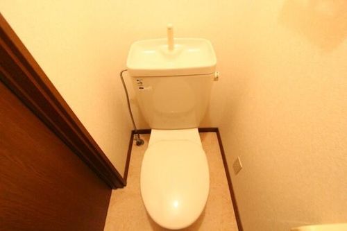 ユニゾン月寒東Fの内装