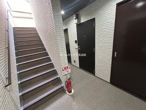 FaseciaIrifiのその他画像